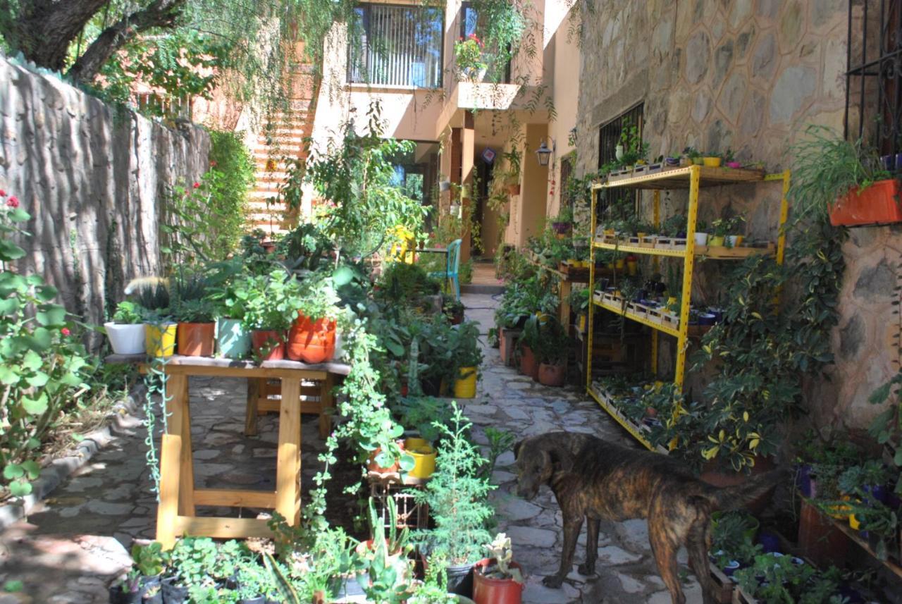 Apartamento En El Vivero Tilcara Esterno foto
