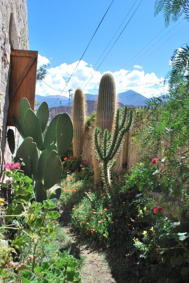 Apartamento En El Vivero Tilcara Esterno foto