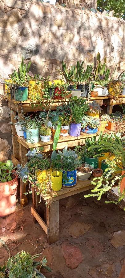 Apartamento En El Vivero Tilcara Esterno foto
